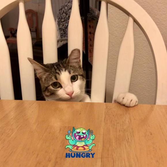 Meet your Posher, Robbin - Picture 1 of 1